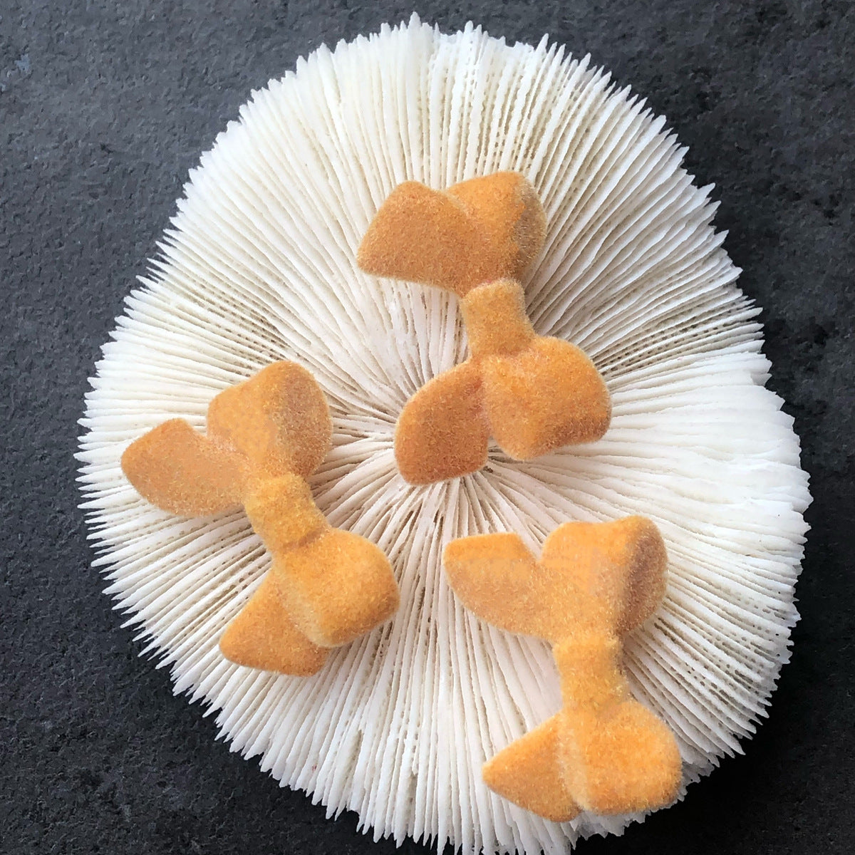 Wholesale 10PCS Flocking Bow Accessories Beads